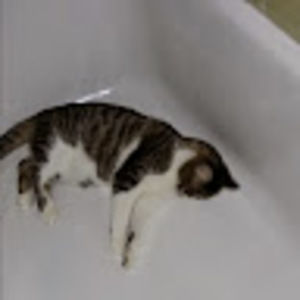 Meet your Posher, Leigha